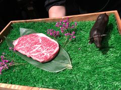 肋眼牛排-老乾杯和牛烧肉(王府中环店)