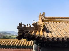 -颐和园