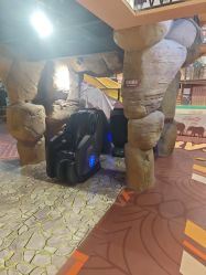 -卡通尼·Safari非洲探索乐园·生日会(金桥国际商业广场店)