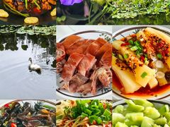 -三圣花乡旅游区