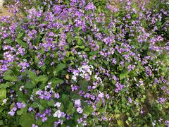 -白塘生态植物园