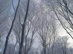 -中旅松花湖滑雪场