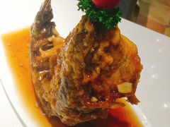 糖醋鲤鱼-闫府私房菜·百年鲁菜(恒隆店)