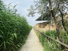 -水洞沟旅游区