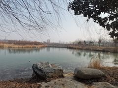 -淇河国家湿地公园