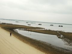 -北海金海湾红树林生态旅游区