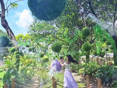 -广东花都香草世界旅游度假区