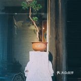 这是观芷的秋宴～