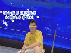 -烟台海昌鲸鲨海洋公园