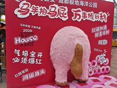 -海合安成都极地海洋公园