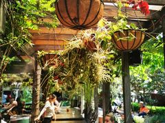 -The Grounds of Alexandria