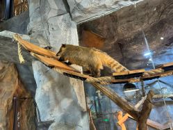 -Zoolung Zoolung动物主题公园(海信广场店)