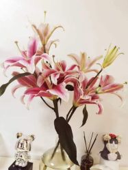 -美肤盾祛痘·问题肌头疗管理中心