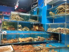 -岳各庄批发市场(西四环中路店)