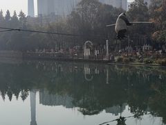 -成都市活水公园