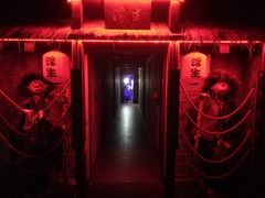 -Mr.Fox狐狸先生超级密室(南山店)