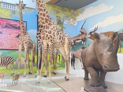 -陕西自然博物馆