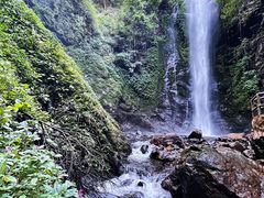 -莫里热带雨林景区