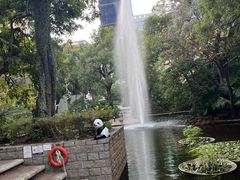-九龙公园
