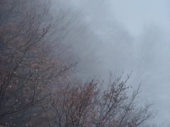 -秦岭终南山世界地质公园翠华山景区