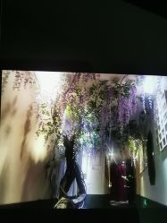-盘子女人坊生日照·摄影馆(华强店)