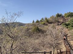 -北京十三陵国家森林公园蟒山景区