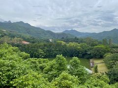 -雁南飞茶田景区