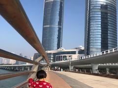 -演武大桥观景平台