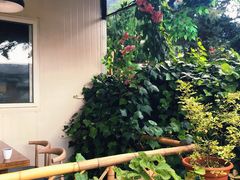 -云朵小院·石锅鱼·野生菌餐厅(蒗放店)