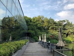 -听松楼·花园酒店·自助餐厅(红梅公园店)