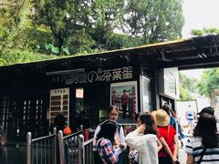 -金盆阿嬷香菇茶叶蛋(玄光店)