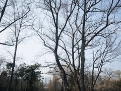-七桥瓮公园