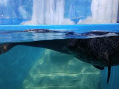 -多彩贵州城极地海洋世界