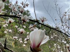 -广州市流溪河国家森林公园