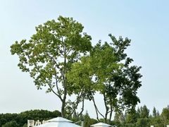-同里国家湿地公园
