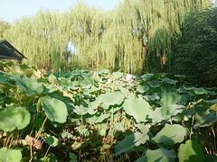 -竹泉村旅游度假区