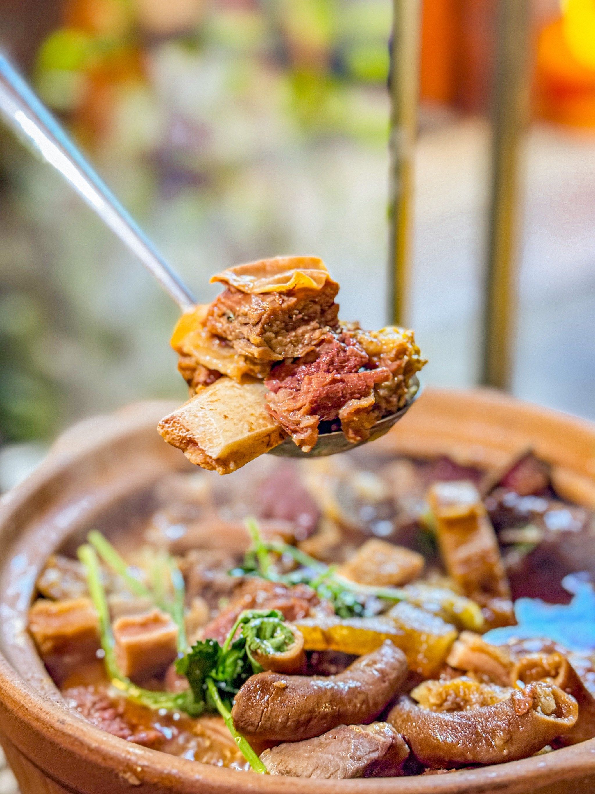 烟火气十足的牛腩牛杂煲,热气腾腾冬日首选