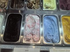 -iceason爱茜茜里·意大利健康冰淇淋(骑龙巷店)