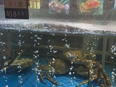 -蟹之国·精品蟹料理(极地店)