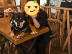 -萌喵咖啡屋(人民东路4号口M16商铺店)