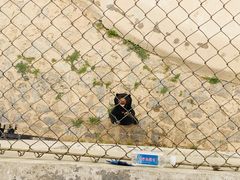 -石家庄市动物园