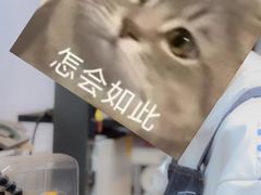 -五月木作·DIY木作文创体验店(北京路店)