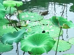 -东湖磨山景区