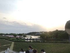 -大塘金香草谷