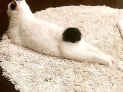 -鲜果时间·果蔬茶(赛格负二层店)