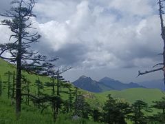 -秦岭风景区