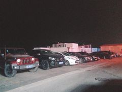 -青岛极地海洋世界-停车场
