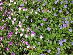 -南山风景名胜区