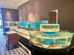 -许家菜.艺创菜(仁和新城店)