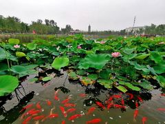 -西海子公园